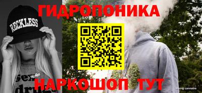 меф Гатчина