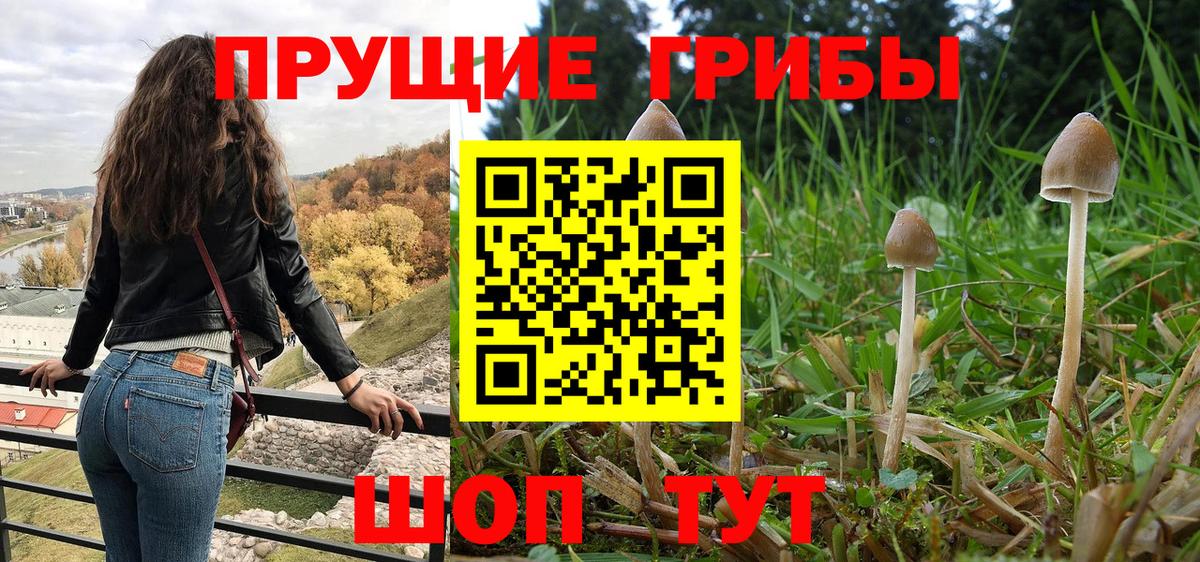 Псилоцибиновые грибы ЛСД Кисловодск