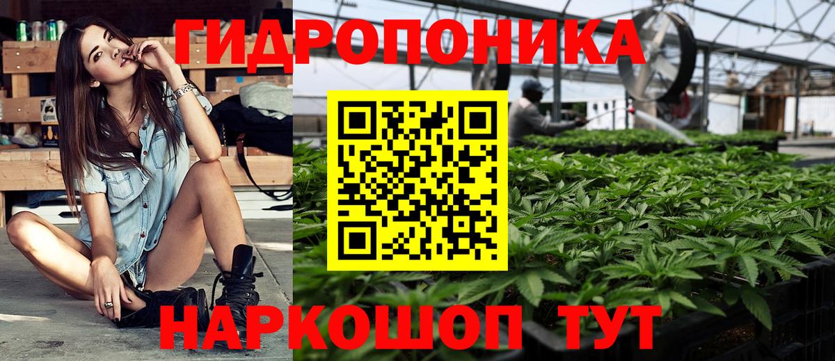 Бошки Шишки семена Кисловодск